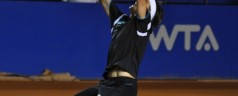 David Ferrer tricampeon del Abierto de Tenis