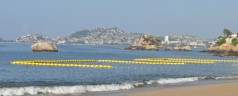 Recibe playa de Acapulco certificacion Blue Flag